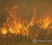 APTOPIX Spain Wildfire