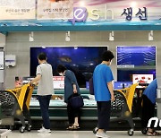 '대한민국 수산대전 '고등어·오징어' 최대 40% 할인
