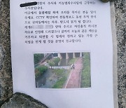 '오리가족' 돌팔매질해 죽였다..경찰 "범인 킥보드 동선 추적 중"