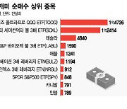 "이제 반등이다?"..3주만에 기술주 상승에 3배 베팅[서학픽]