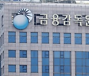 금감원, 저축銀 불법 사업자 주담대 '엄중대응'