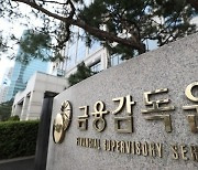 금감원, 저축은행 '불법 사업자 주담대' 엄중대응 경고