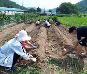 군위군청소년상담복지센터, 멘토링프로그램 운영 외 [군위소식]