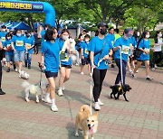 대구보건대·계명문화대·수성대·대구한의대 [대학소식] 