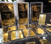 로이터 "유럽연합, 러시아 돈줄 막는다..추가제재 '금' 포함"