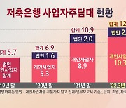 [뉴스'까'페] 저축은행 사업자 주담대 급증..금감원 "불법 엄단"