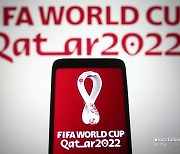 카타르 월드컵서 '원나잇' 했다가 걸리면 징역 7년..'이슬람의 경고'