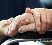 대구서 코로나19 신규 확진자 587명 발생