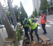 대전시, 집중호우 대비 관내 도로시설물 일제정비