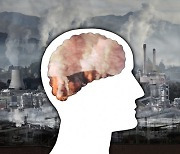 "대기 오염, 뇌에 직접적 영향 미쳐" (연구)