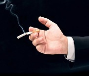 "미국 니코틴 함량 95%까지 낮추는 담배 규제 추진 중"