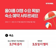 "바캉스 숙소·액티비티 예약 경쟁, 예년보다 치열"