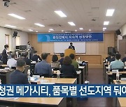 "충청권 메가시티, 품목별 선도지역 둬야"