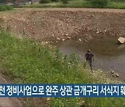 "하천 정비사업으로 완주 상관 금개구리 서식지 훼손"