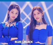 아이브, 여름의 의인화..'BLUE & BLACK' 콘셉트 포토 오픈