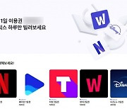 OTT 3사, 1일권 서비스 업체에 '강경 대응' 예고
