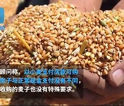 "마늘로 아파트 사세요"..'부동산 급락' 중국 파격 마케팅