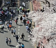 거리두기 완화로 지역축제 재개하자..인근 식당 매출액 2배↑