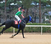 '경마' 100승 달성한 정정희 기수 "최고 성적인 30승 달성하고 싶어"