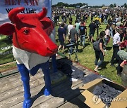 Netherlands Farmers Protests