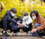 산림청, 한국숲사랑청소년단 '가족과 함께 숲 탐방' 운영