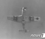 1951년 강릉기지서 출격하는 F-51
