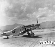 1950년 韓美 공군 연합작전에 나서는 F-51 전투기