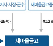 "금융권인데도 행안부가 소관..관리·감독 부실 문제도"[비리온상 새마을금고③]