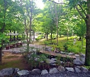 함양 상림공원 內 '이끼원', 새로운 명소로 인기 만점 .. 신비로운 초록 공간