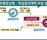 금융위, 대형 10개 금융사 제출 '자체정상화계획' 첫 승인