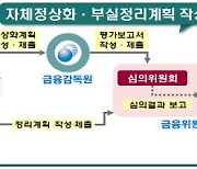 금융위, KB·신한 등 5대 금융사 '자체 위기대응 계획' 첫 승인