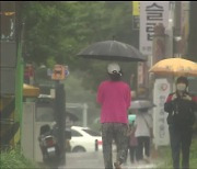 울산도 내일부터 장맛비..국지성 호우 주의