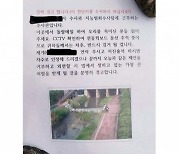 돌 던져 오리 가족 죽인 10대 형제.."호기심 때문에"