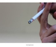 담배가 부르는 방광암, 여성 흡연자 더 위험.."혈뇨 있으면 의심"