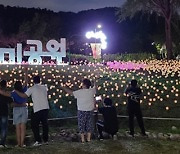 인천 장미근린공원 'LED 꽃정원'..야간 관광명소 부상