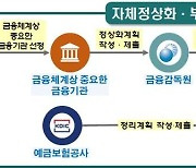 "거액 차주 부실발생시 대응"..대형 금융사 '자체정상화계획' 승인