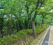 용인시, 토월초교 내 유휴공간 '학교숲'으로 변신
