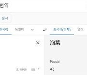 "김치는 중국어로 '신치'"..서경덕, 구글 번역 정정 요청