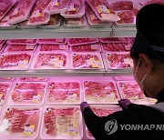 5월 생산자물가 0.5% 상승, 다섯달째 오름세..돼지고기 21.8%↑