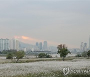 울산시민 참여 미니체전 26일 개최..양궁 등 11개 종목