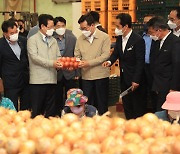정황근 농식품부 장관, 양파 출하 상황 점검