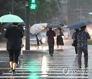 퇴근길 내리는 장맛비