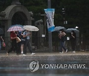 세차게 내리는 장맛비