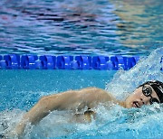 황선우, 혼성 계영 400m도 한국新..세계선수권 5번째 경신