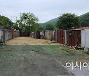 별내동 '불법 개 도축장' 업주, 시설 자진 철거