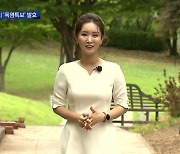 장마 소강상태..대구·경북 다시 '폭염특보'