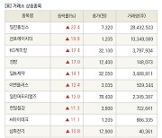 [fnRASSI]장마감, 거래소 상승 종목(일진홀딩스 22.4% ↑)