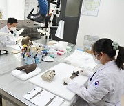 비무장지대 내 한국전쟁 전사자 유해발굴 유품 보존처리 시작