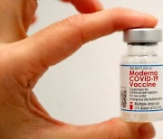 모더나 "오미크론 백신, 하위 변위에도 효과"