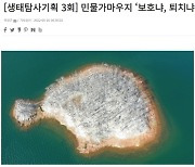 [이달의 기자상] 쿠키뉴스 '민물가마우지 '보호냐, 퇴치냐'' 등 7편